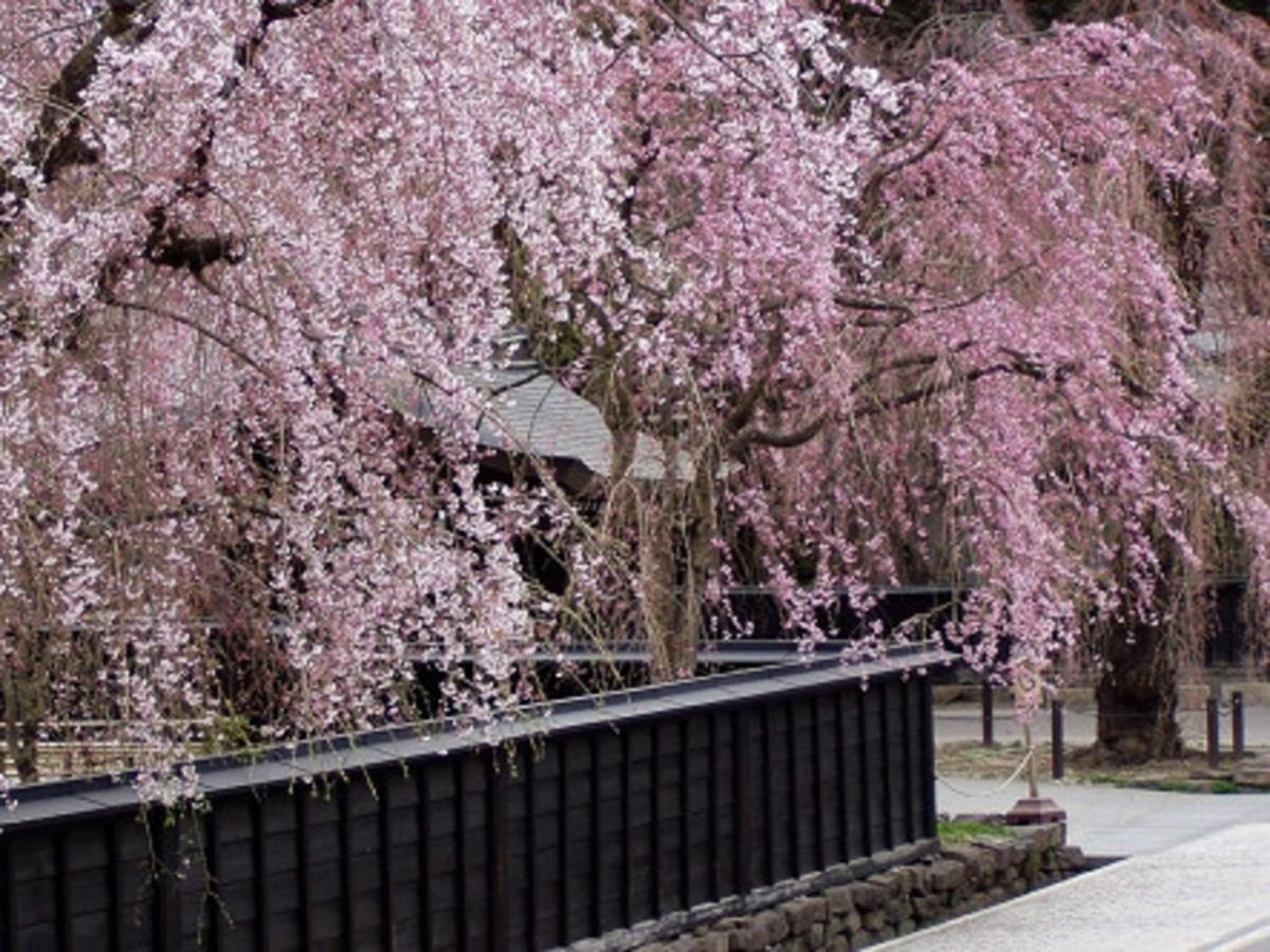 Tamachi Bukeyashiki Hotel - Vacation Stay 20163V Daisen  المظهر الخارجي الصورة