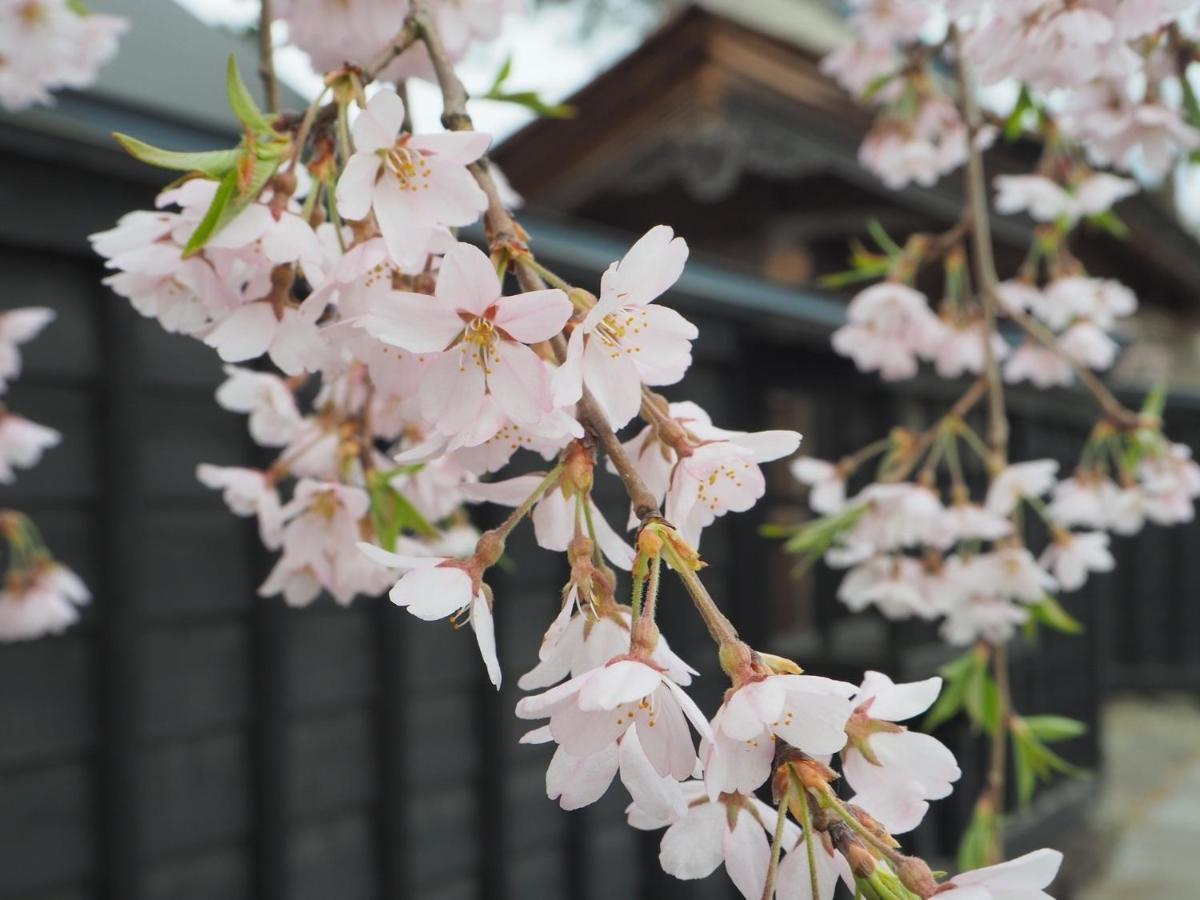 Tamachi Bukeyashiki Hotel - Vacation Stay 20163V Daisen  المظهر الخارجي الصورة